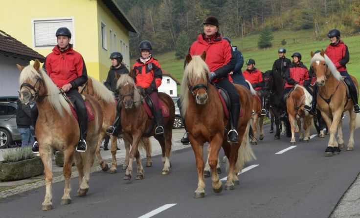  (Foto: Martina Mayr)