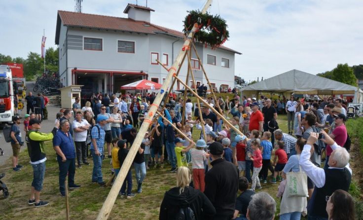 In Engerwitzdorf stellten die Kinder den Maibaum selbst auf. (Foto: FF Treffling/ÖVP/Fürst)