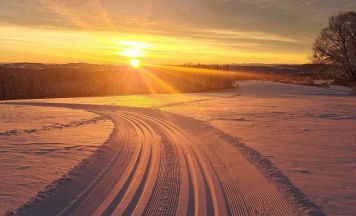 Leserfoto: Lopien-Zauber aus Oberneukirchen