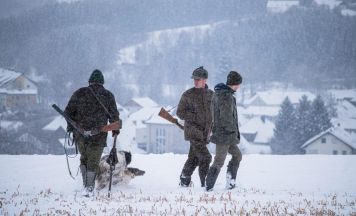 Weidmannsheil in Puchenau: Bezirksjägertag mit Hegeschau