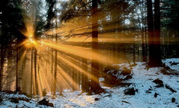 Leserfoto zeigt beeindruckendes Lichterspiel im Winterwald nahe der Sternsteinwarte