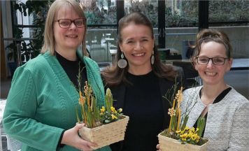 Einsatz für Frauen und Familien: ÖVP Frauen Gramastetten feiern 20-jähriges Jubiläum