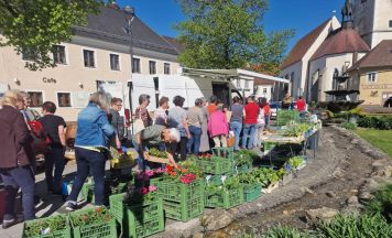 Markt startet in Zwettl in neue Saison mit frischem Salat und Bauernkrapfen