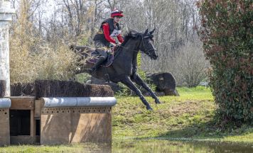 Feldkirchnerin (18) reitet mit Sternenzauberin zur Junioren-EM in Schweden 