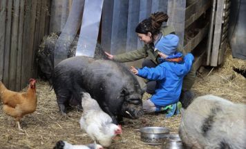 Inklusionstag und Einblicke in Limas Tierparadies in Bad Leonfelden