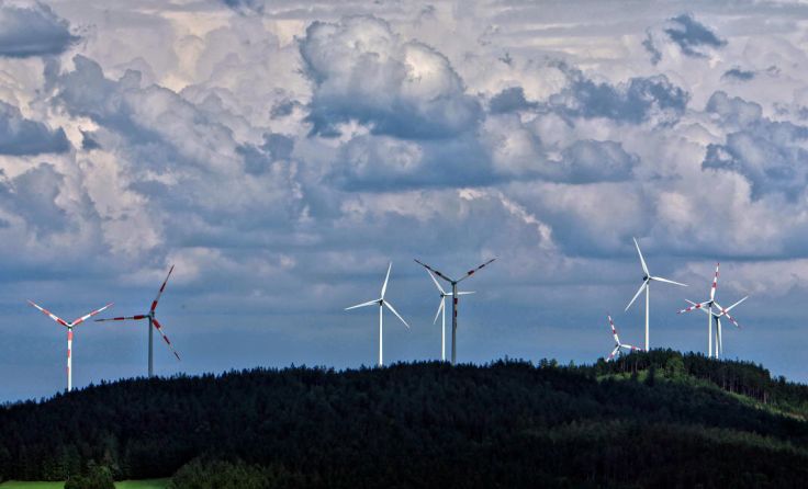 Sternwald im Fokus: Abwägung der Interessen (Foto: Volker Weihbold)