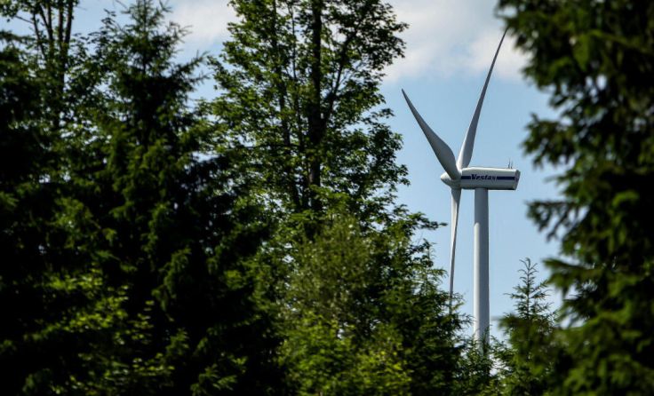 Der Sternwald in Vorderweißenbach bleibt weiter im Fokus. (Foto: Volker Weihbold)