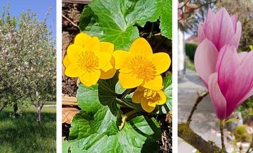 Geräteverleih des Siedlervereins hilft in Gallneukirchen und Engerwitzdorf