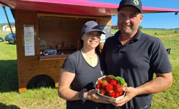 Erdbeer-Felder starten in Urfahr-Umgebung in die Saison