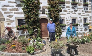 Blühendes Ortsbild: Gemeinschaft lebt Vorgarten-Kultur in Ottenschlag