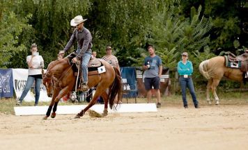 Wenn Cowboys ihre Pferde satteln findet in Steyregg ein großes Westernreitturnier statt