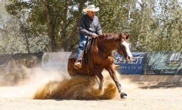Cowboys räumten beim Mühlviertler Westernreitturnier knapp 18.000 Euro ab