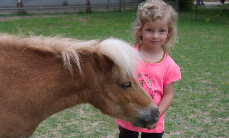 Ferienende mit Ponys im Tiergarten Walding (Foto: Tiergarten Walding)