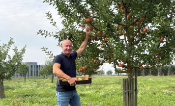 Feldkirchens Streuobstwiese trägt erstmals reichlich Früchte