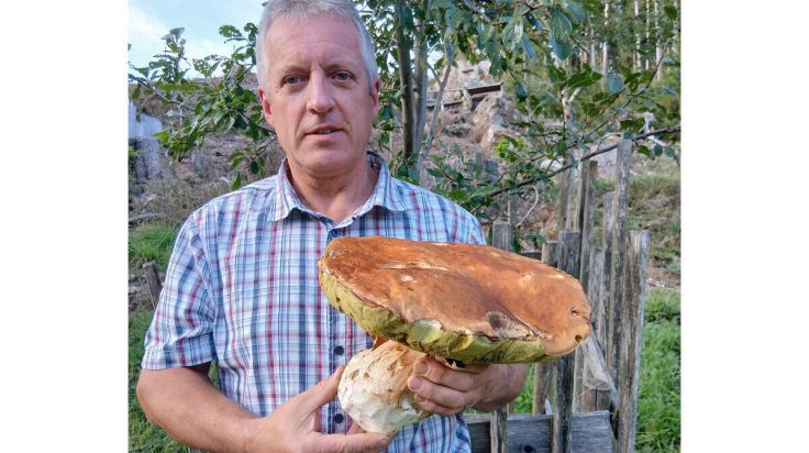 Faszinierender Steinpilz-Fund in Traberg