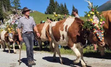 Gemeinsam ging es für zwei Mühlviertler Seniorengruppen ins Zillertal