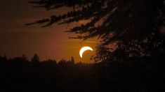 Sonnenfinsternis über Linz