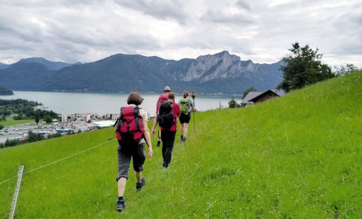 Pilgern auf der Via Nova (Foto: Diözese Linz / Reisinger)