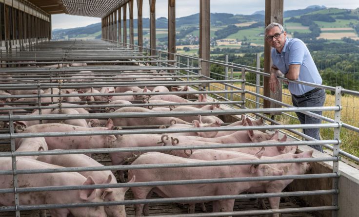 Landwirtschaftskammer-Präsident Franz Waldenberger. (Foto: LK OÖ)