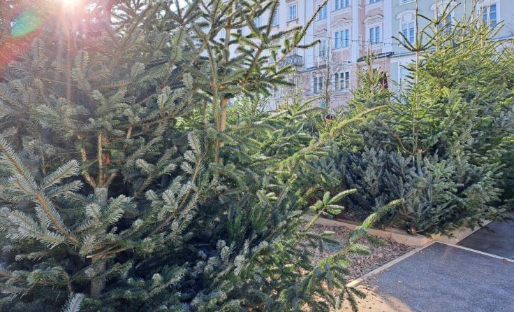 Das Glückslabyrinth am Linzer Hauptplatz wird aufgrund der Nachfrage verlängert. (Foto: Tips)