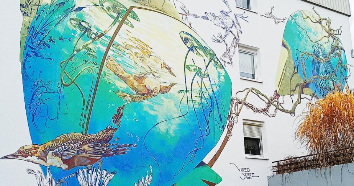 Internationale Street Art in Linz: Neues Kunstkollektiv bringt Farbe in ...
