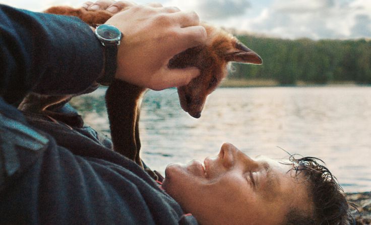 Filmszene aus "Der Fuchs" (Foto: Alamonde Film)