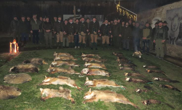 Die Streckenlegung ist eine alte Jagdtradition. (Foto: Kirchberger)
