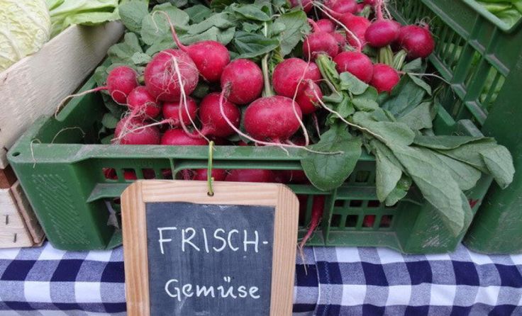  (Foto: Furthmühle Pram)