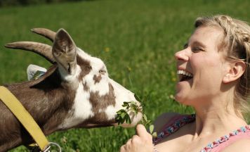 Heidi“ erobert die Bühne im Veranstaltungszentrum Braunau