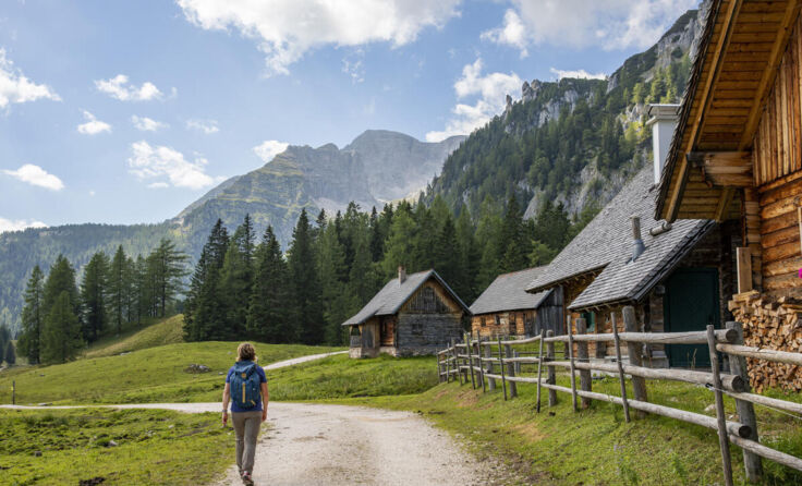  (Foto: Andreas Mühlleitner)