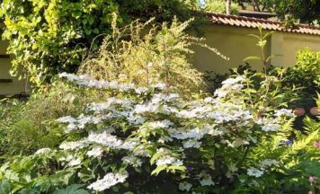 Tag der offenen Gartentür im Klostergarten Maria Schmolln