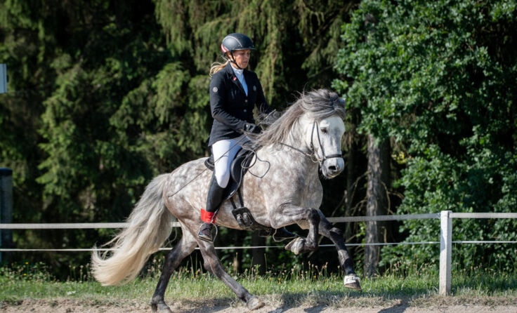 Carina Piber und Milljardur frá Stóra-Ádalskarði (Foto: Hestapix)