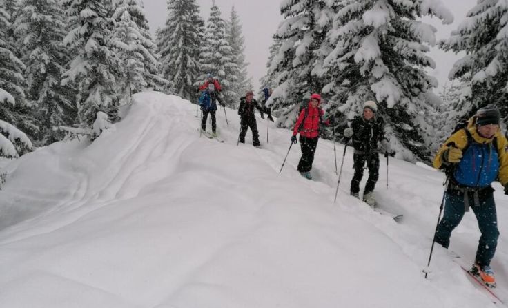Die richtigen Verhältnisse zum Tourengehen: Tiefschnee. (Foto: Alpenverein Enns)