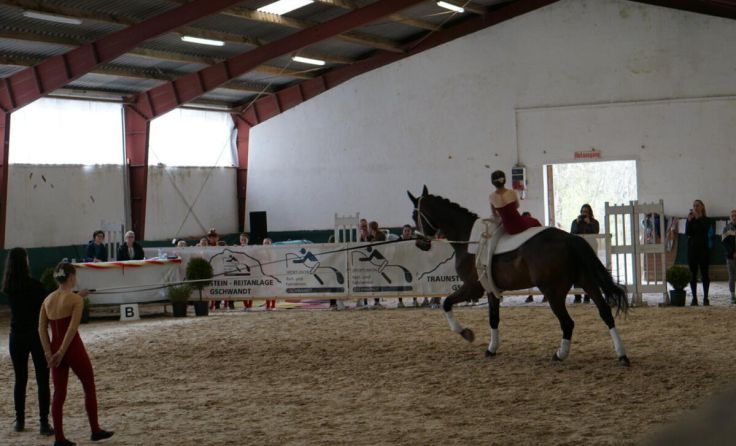 Voltigieren (Foto: Reitverein Gschwandt)