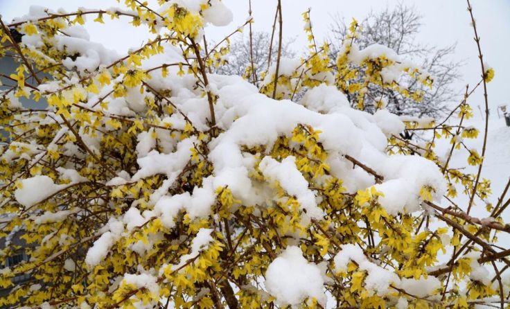 Winter im April (Foto: Marion Hörmandinger)