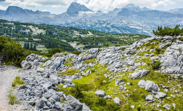 Das Hochplateau Dachstein/Krippenstein (Foto: stock.adobe.com)