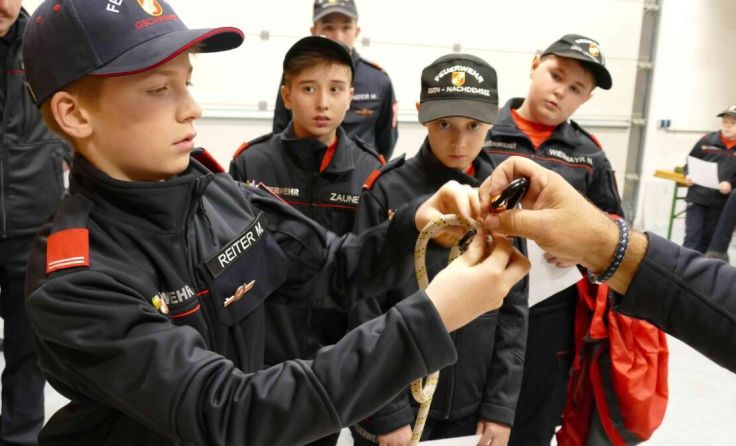 309 Jungfeuerwehr-Mädchen und -Burschen stellten ihr Wissen unter Beweis. (Foto: BFKDO Gmunden)