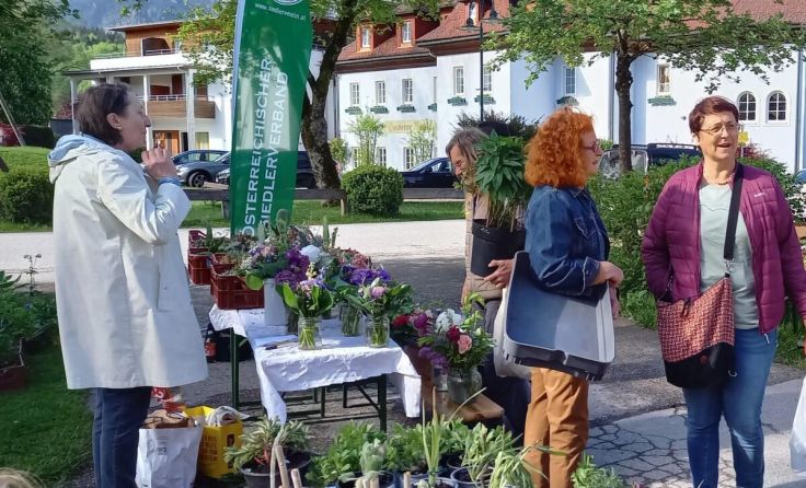Pflanzenmarkt in Bad Goisern (Foto: Besendorfer)