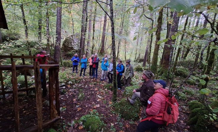 Informative Wanderung in den Wäldern in Hallstatt. (Foto: ÖBf)