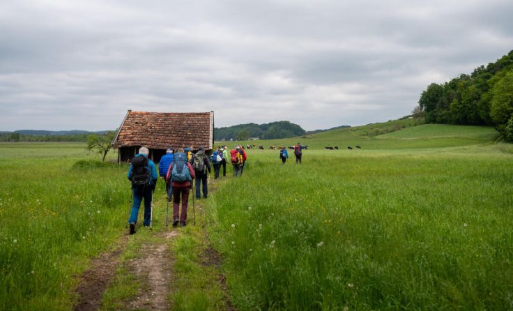 Der Weg war für die Schwertberger Pilgergruppe das Ziel. (Foto: privat)