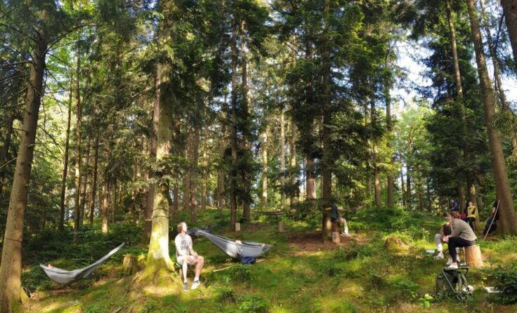Die Atmosphäre im Wald tut Körper, Geist und Seele gut. (Foto: privat)