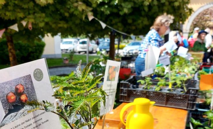 Der Rieder Pflanzerlmarkt findet am 4. Mai statt (Foto: Grüne)