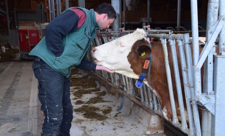 Landwirt Martin Hofer will seine Kühe schützen. (Foto: Bocksleitner)
