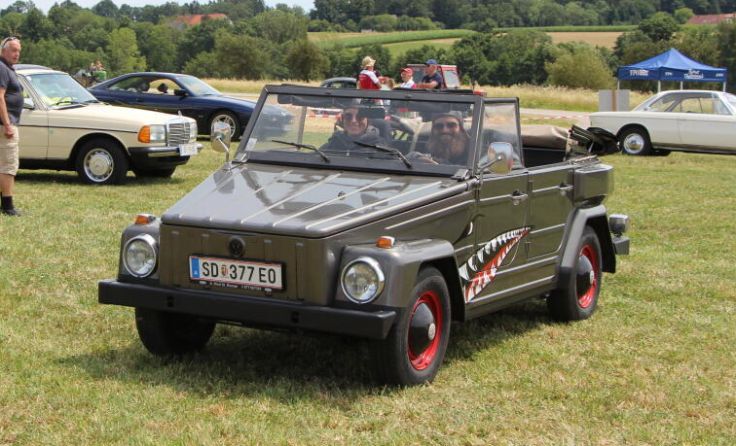 Die Oldtimer-Fans kamen von nah und fern. (Foto: FPÖ)