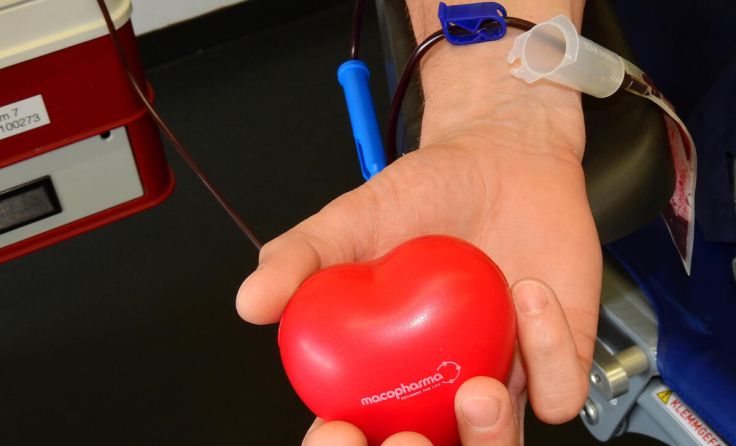 Blut spenden, Leben retten (Foto: RK)
