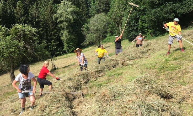Die Naturschützer übernehmen gemeinsam Mäharbeiten. (Foto: Naturschutzgruppe Haibach)