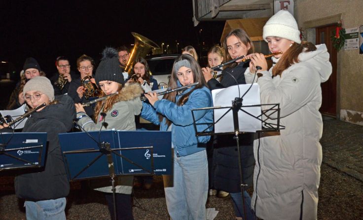 Die Greenhorns gaben im Schloss Weidenholz ein Adventkonzert. (Foto: Josef Pointinger)