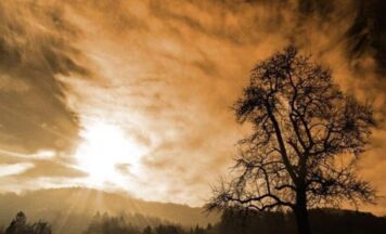 Treffpunkt für Trauernde in Eferding