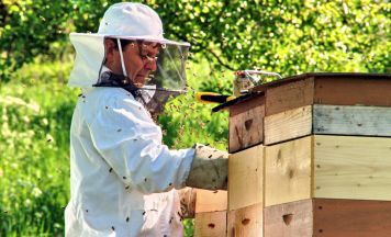 Imkerverein Scharten lädt zum Schnuppern ein