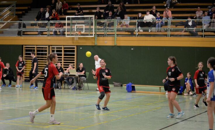 wU12 (Foto: HC Eferding)